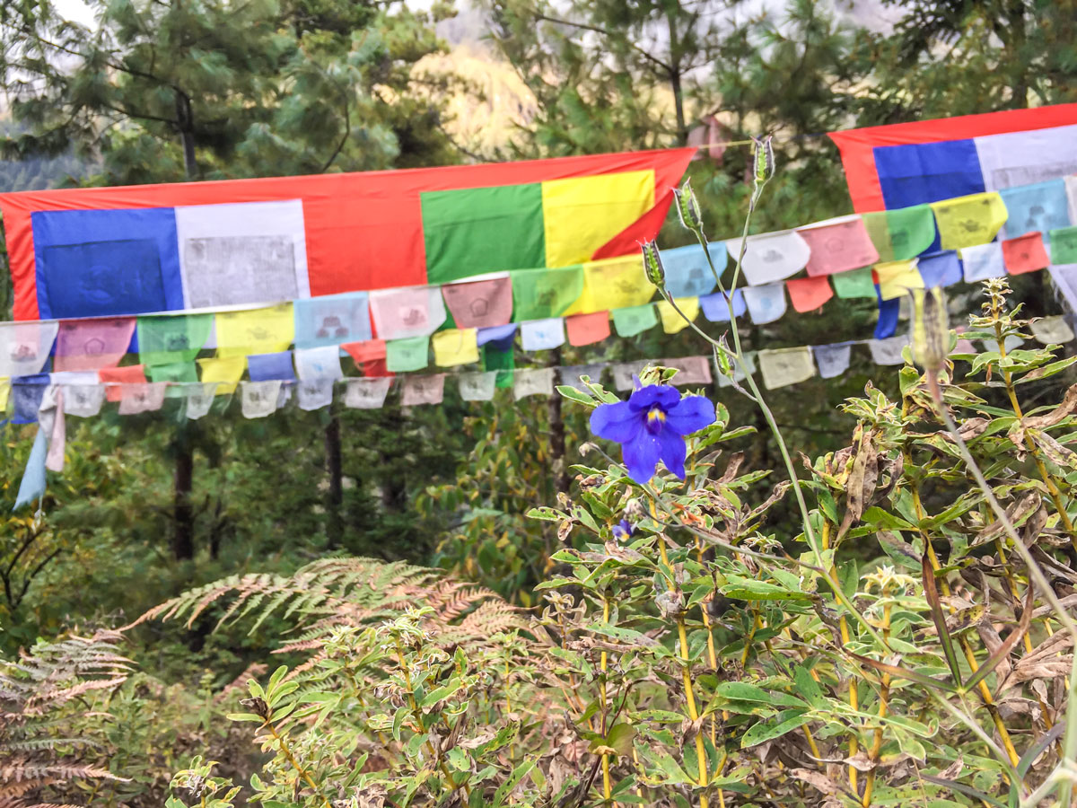 Prayer flag on Manaslu Circuit trek in Nepal