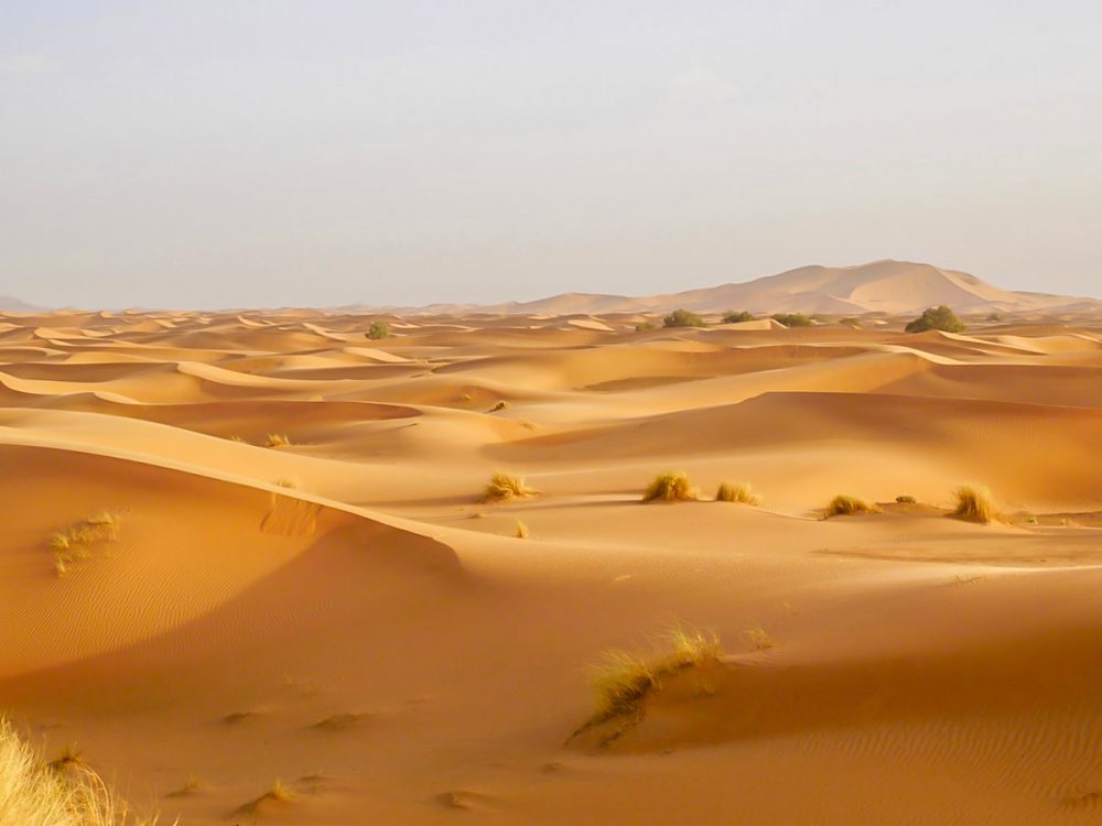 Erg Chigaga guided tour on camels in Sahara Desert, Morocco