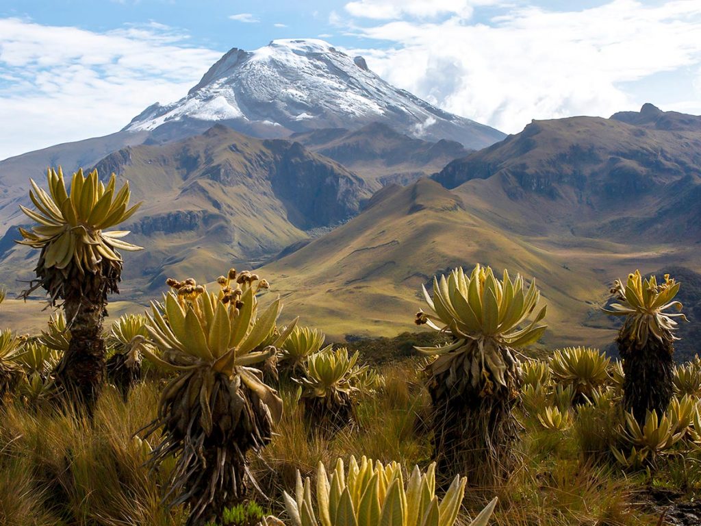 excursion in colombia