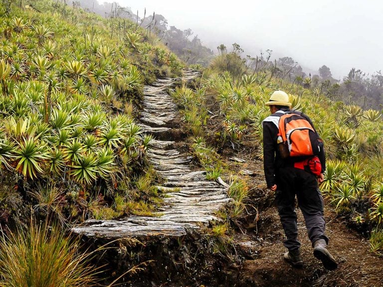 Guided Hiking Tour in Los Nevados National Park in Colombia