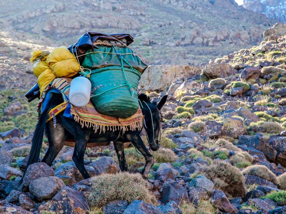 Atlas Valley And Sahara Desert Trekking Tour In Morocco