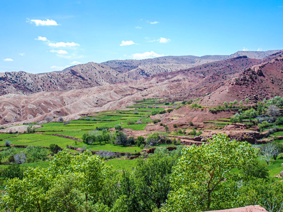 Green terraces on Villages Valleys and Mt Toubkal Climb tour in Atlas Mountains