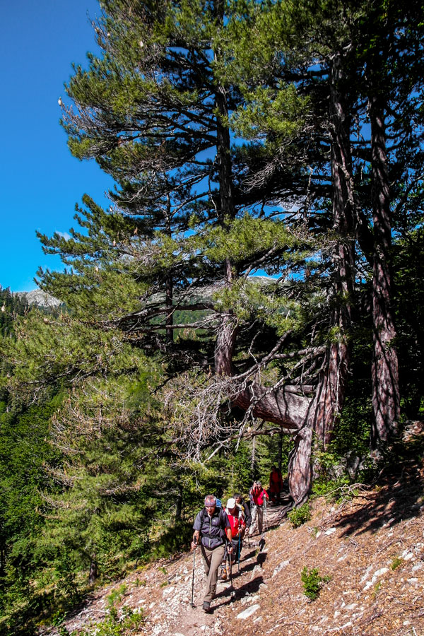 Group of hikers between Capanelle and Bocca di Verde on 3rd day of GR20 Trek