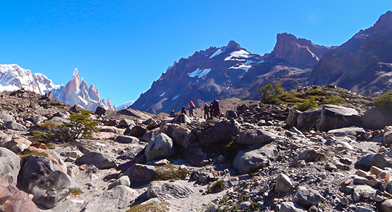 Los Glaciares and Torres del Paine Guided Trekking