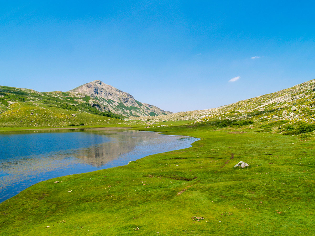 Corsica Family donkey trek (Porto, Verghio, Calacuccia)