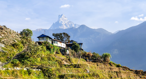 Ghorepani and Poon Hill Trek