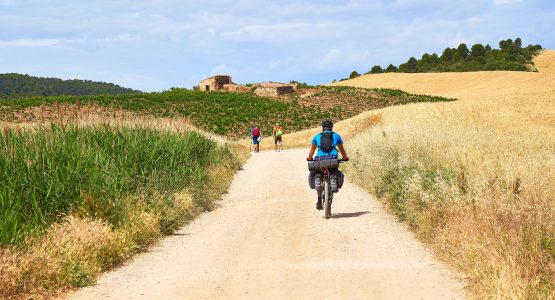 Biker Riding On The Camino Frances Route With A Bike