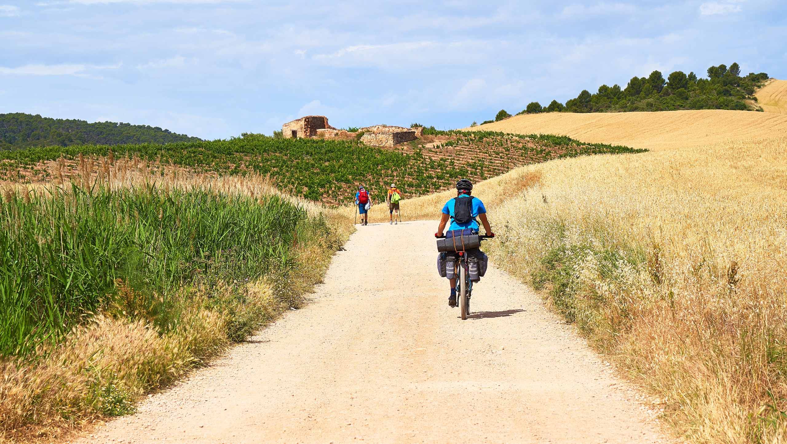 Biker Riding On The Camino Frances Route With A Bike