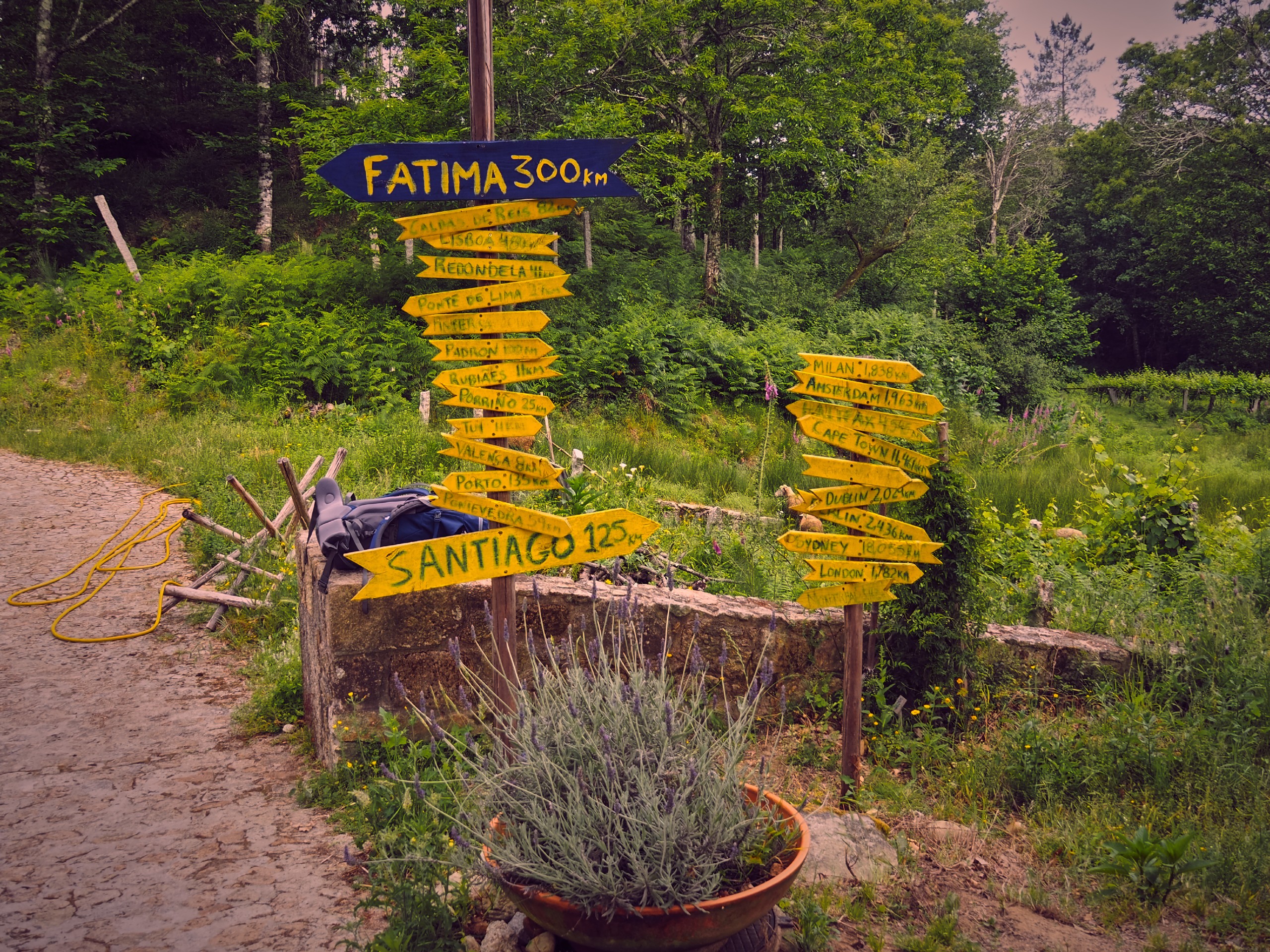 Route signage on Camino de Santiago route