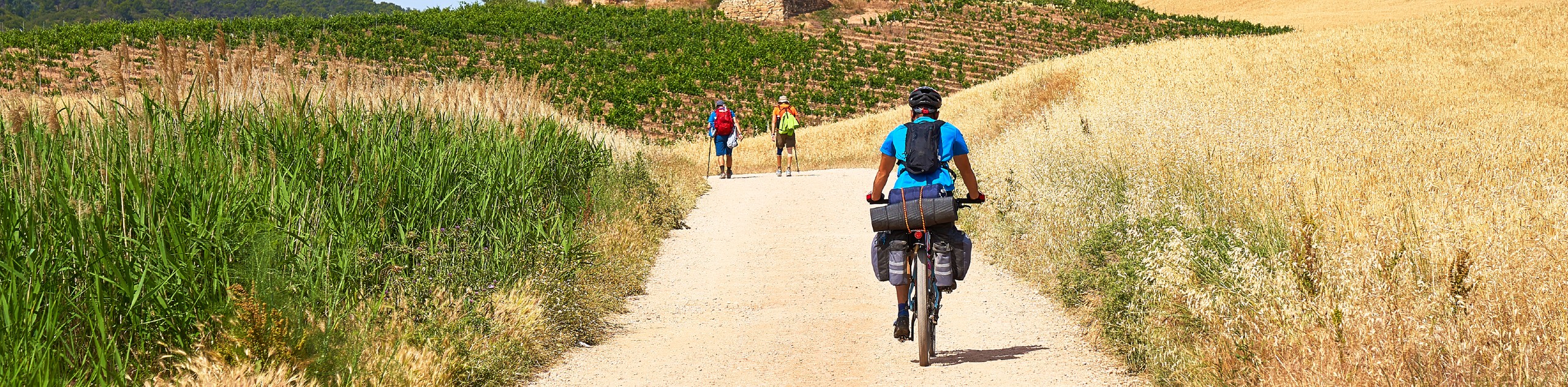 Biker Riding On The Camino Frances Route