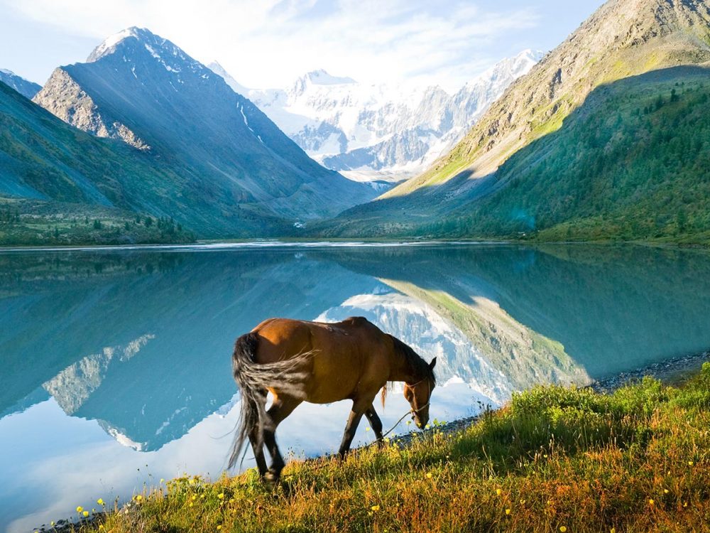 8-day Golden Ring of Altai Tour (Altai, Russia)