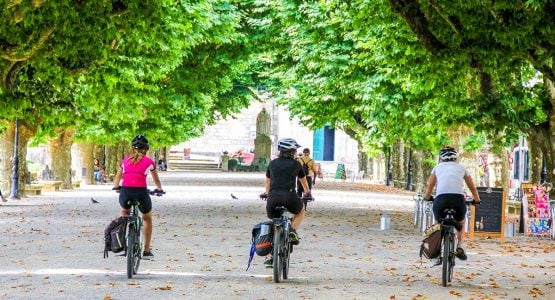 Riding under the lush trees on French Camino Biking Tour