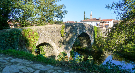 Guided Camino Frances in 7 days