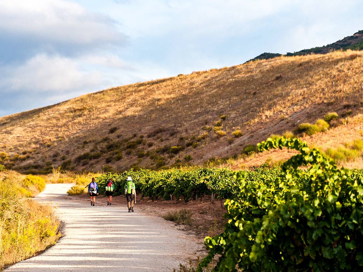 Beautiful countryside and a trail of Cycling the Portuguese Way Tour