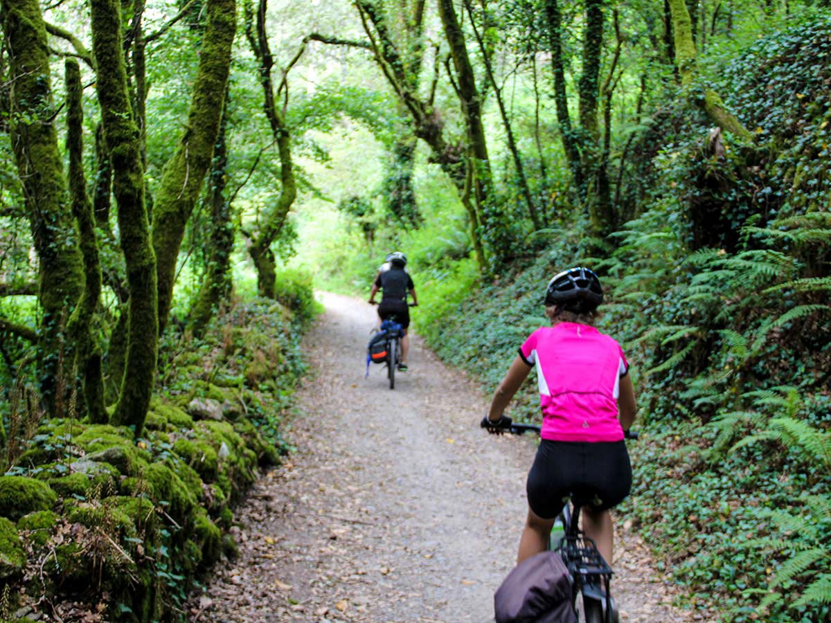 Two bilkers cycling in the forest on Cycling the Portuguese Way Tour