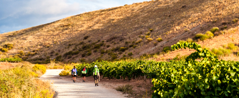 Self-guided Cycling the Camino Portuguese