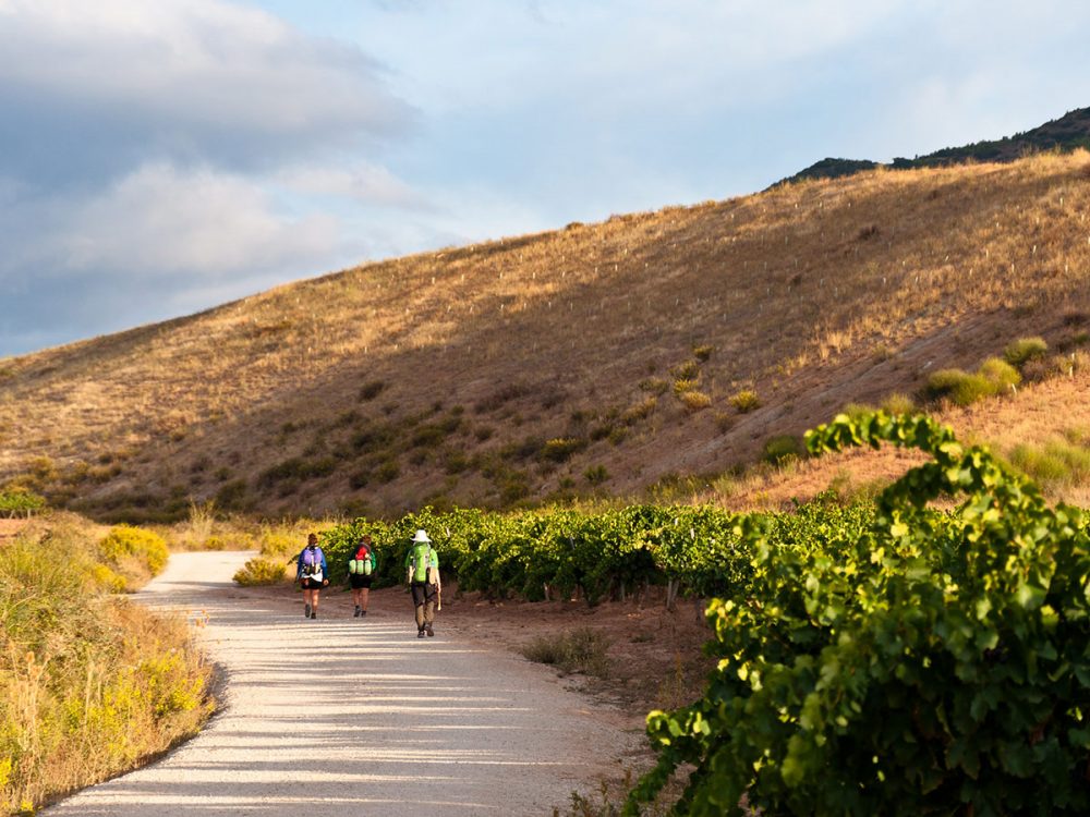 Portuguese Camino Full Self-Guided Pilgrimage to Santiago