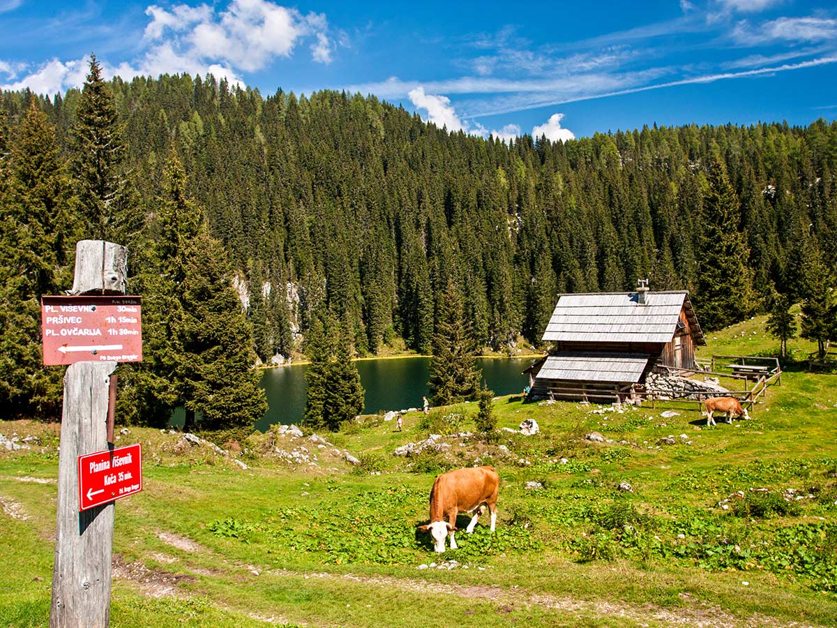 Signposts near old farmhouse seen in Triglav National Park on Hiking in Slovenian Alps on Hut to Hut tour