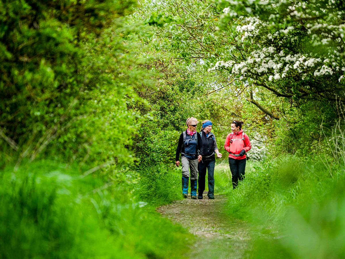 Northumberland and Lake District Walking Tour (England)