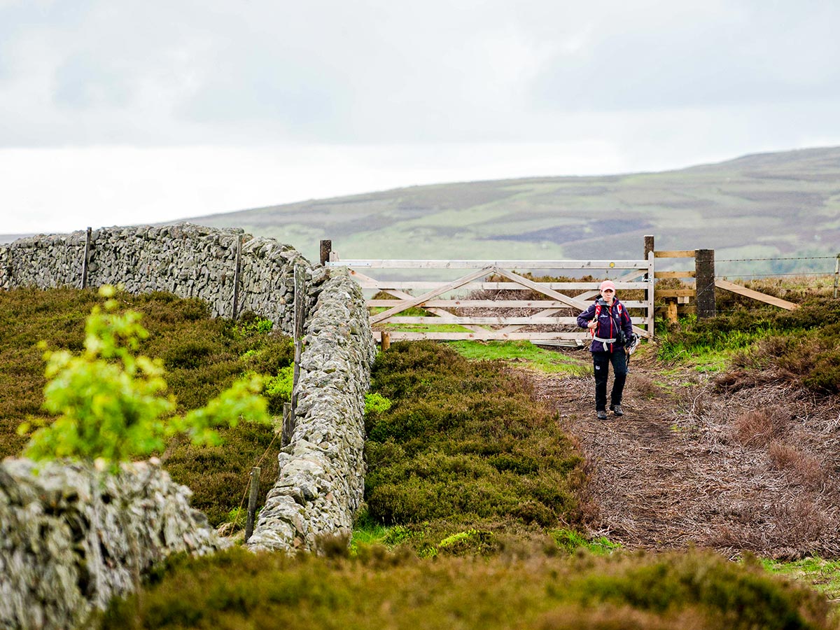 Walking along the pastures of England on Northumberland and the Lake District guided walking tour