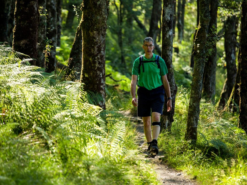 The West Highland Way Guided Walking Tour (Scotland)