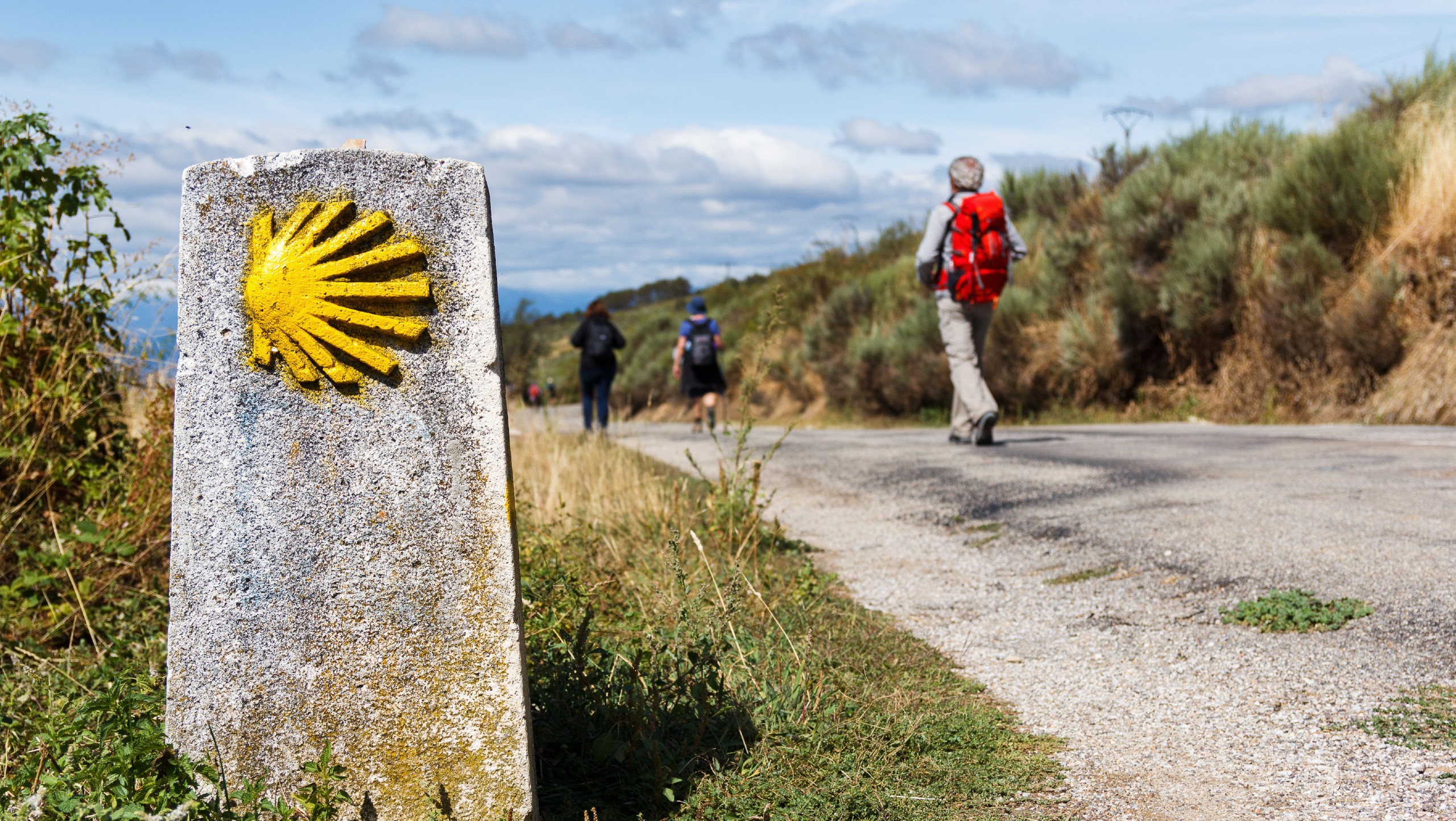 Walkers On Camino De Santiago Frances Route