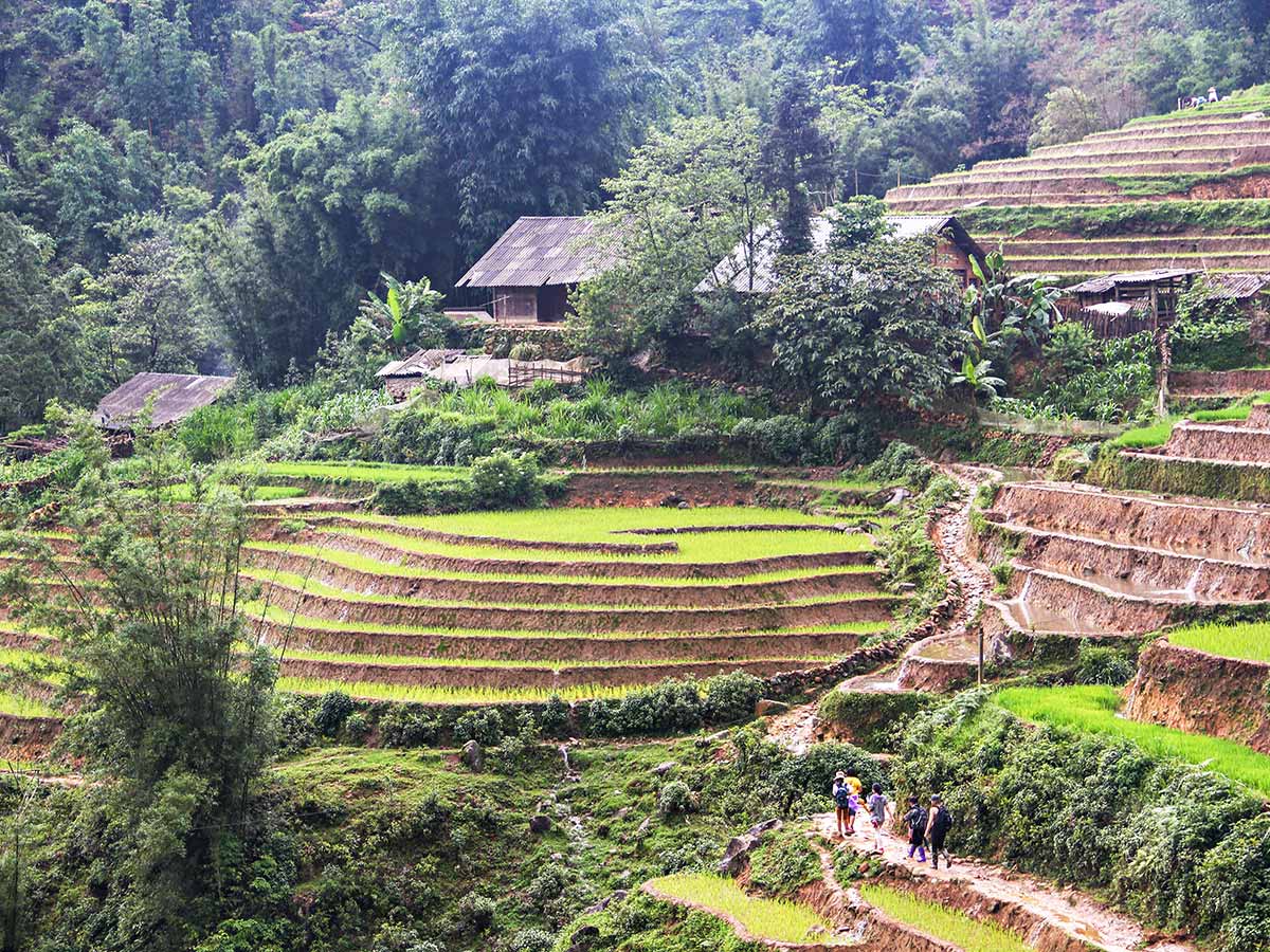 Cycling Up North To Laos in Vietnam visiting the rice farm terraces along the trail