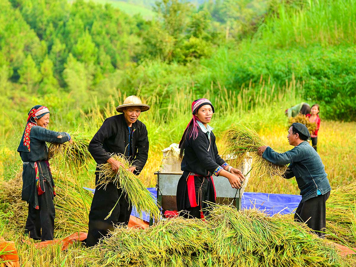 Local people seen on Cycling Up North To Laos Biking Tour in Viednam