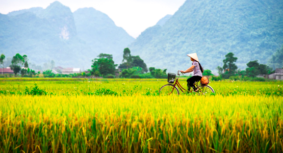 Cycling up to Laos in Vietnam