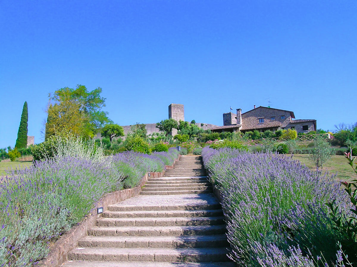 Approaching the beautiful town of Monteriggioni along the Via Francigena Trail