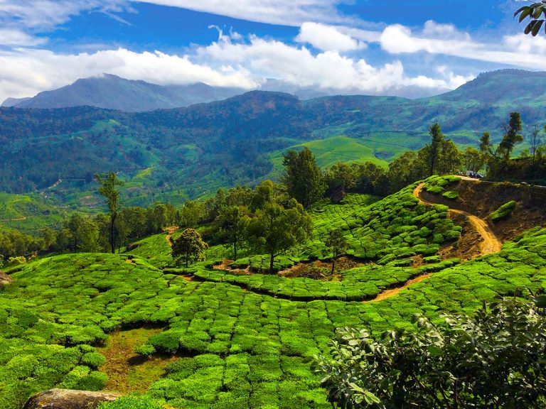 Western Ghats Luxury Trekking Tour (Kerala, India)