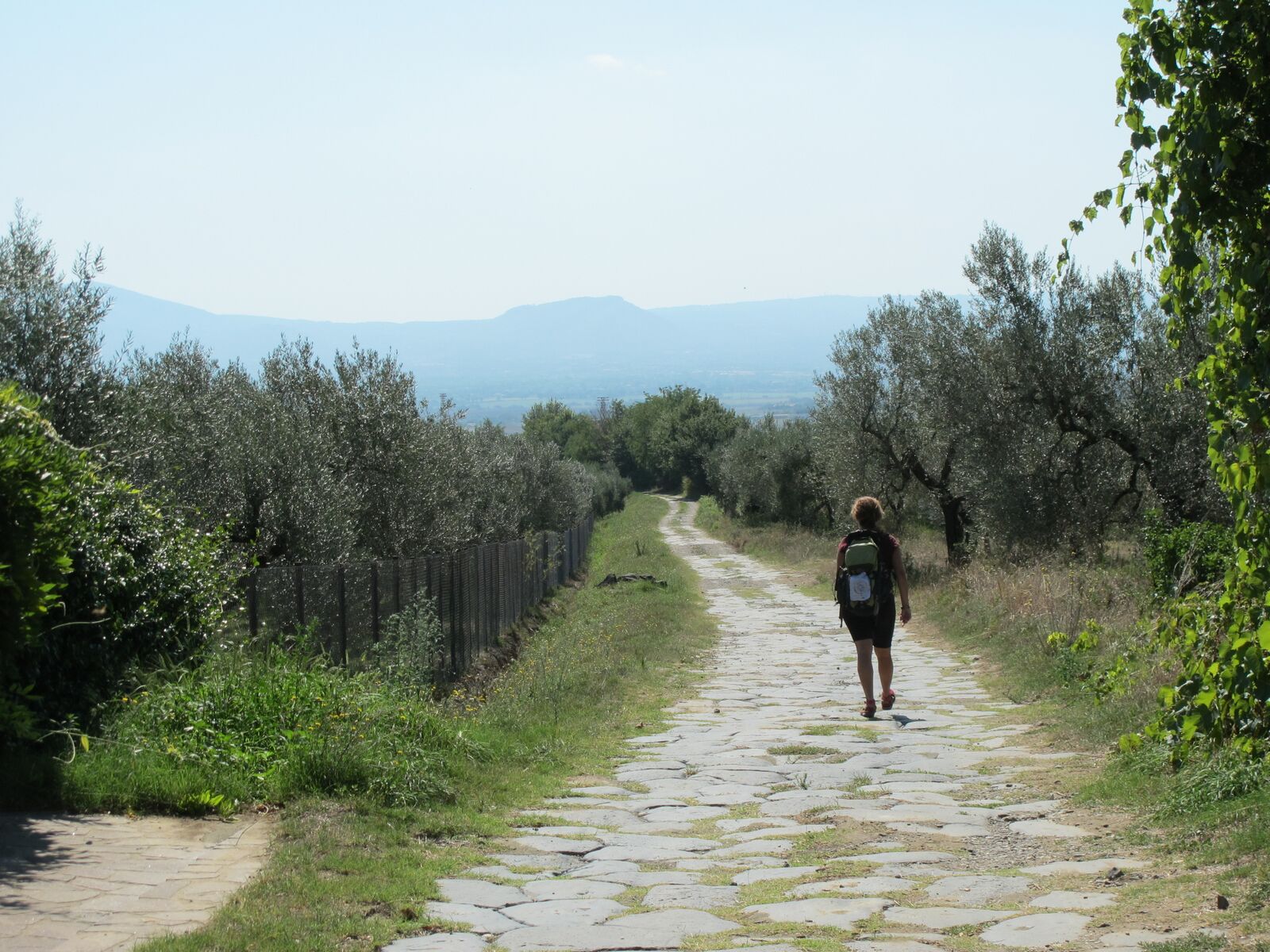 The Roman Paving Near Montefiascone