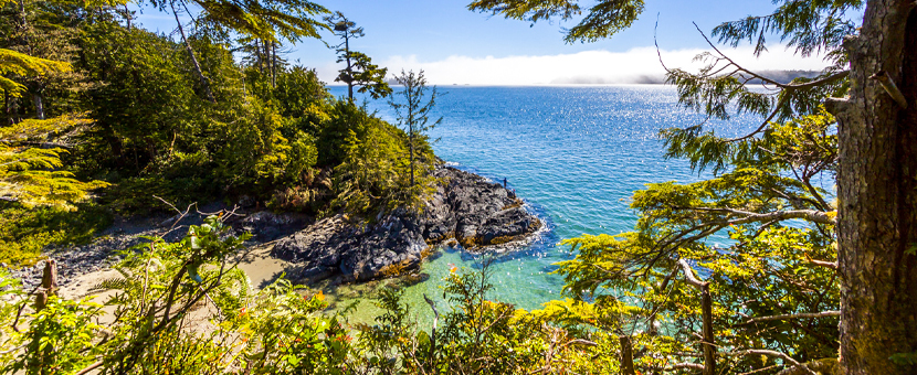 vancouver island group tours