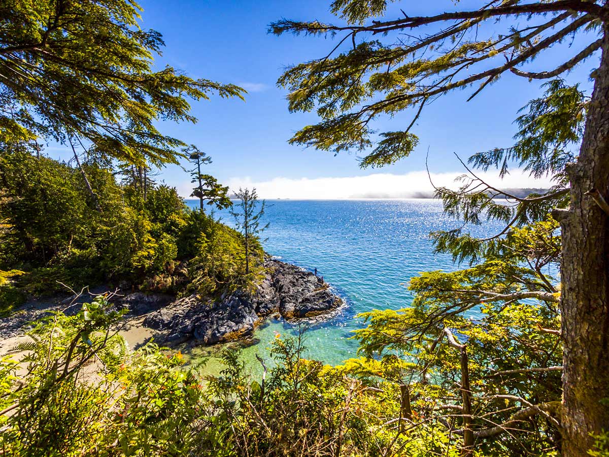 vancouver island tours for seniors