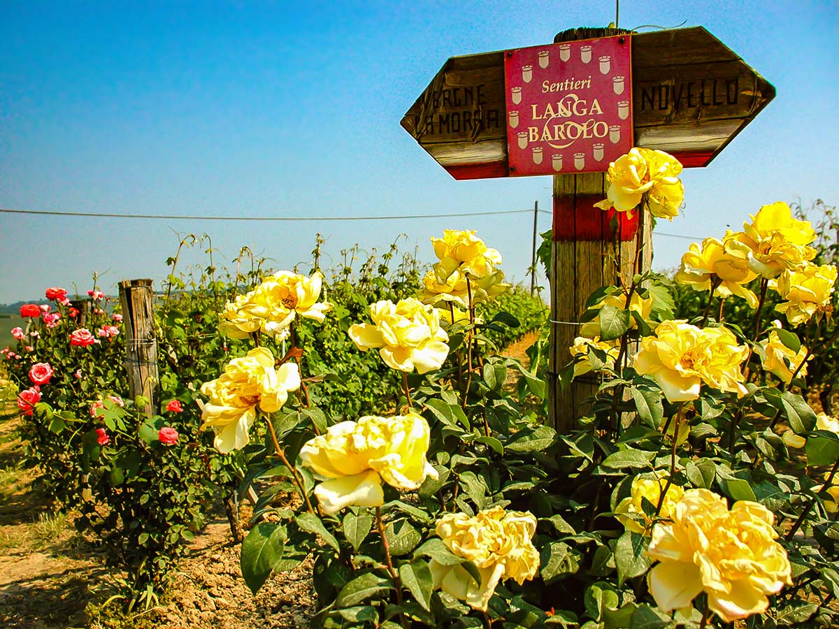 Route signage on Barolo and Barbaresco walking tour