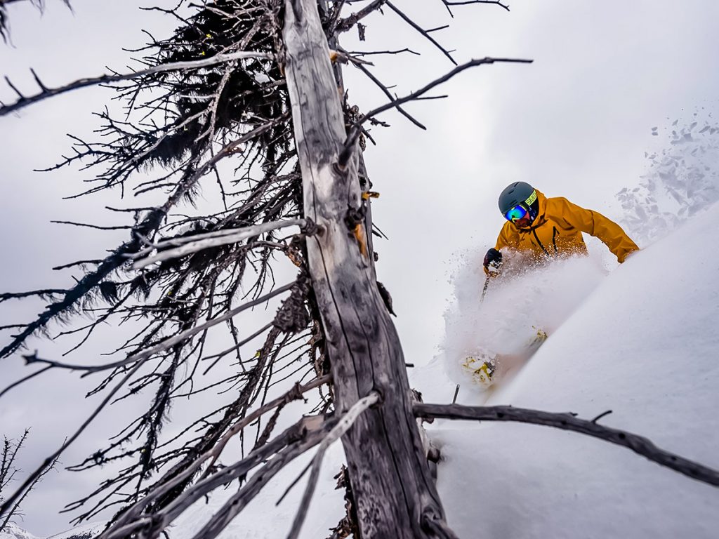 British Columbia Powder Highway 8-day Skiing Tour (Canada)