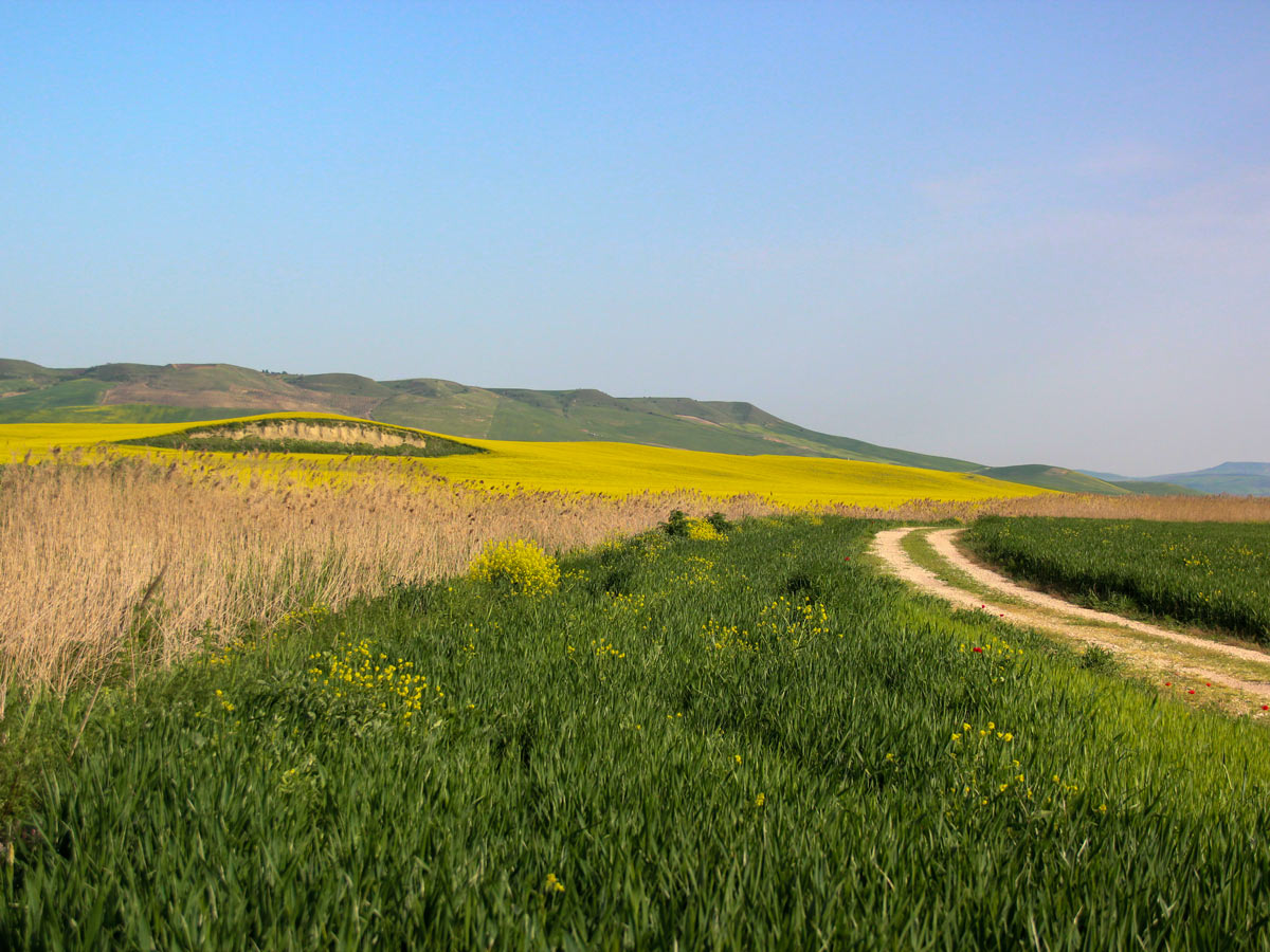 Beautiful Puglian landscape seen on self guided waling tour along the Puglia Coast