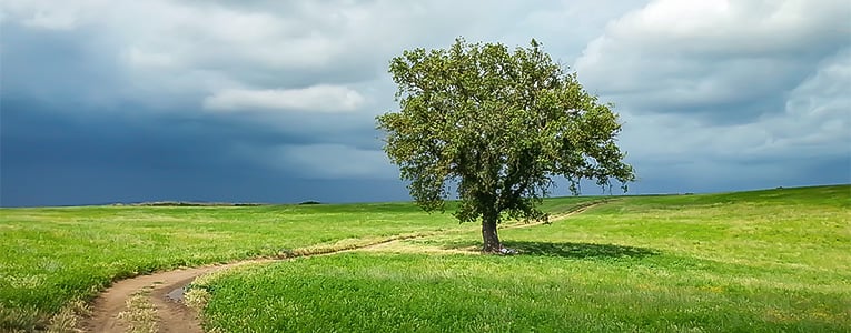 Francigena Orvieto to Rome