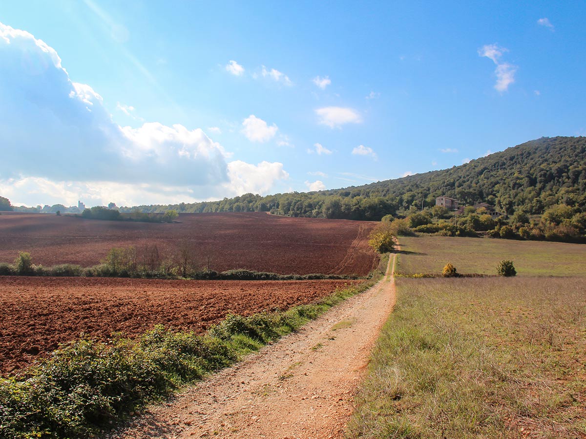 Country road between Florence and Pisa in Italy