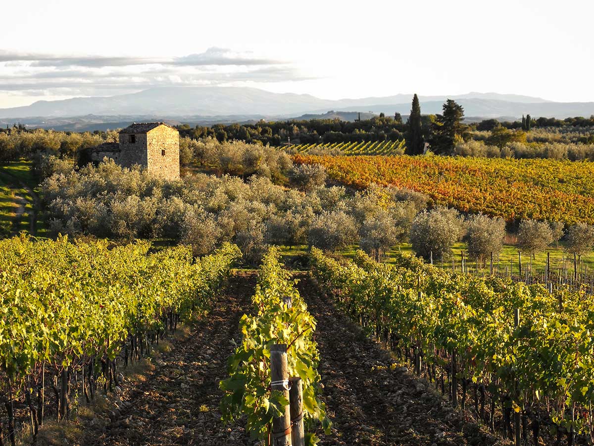 Toscane door Tullia