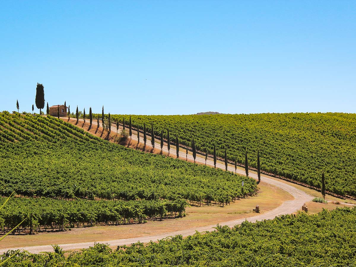 Country road winding in Tuscany Italy