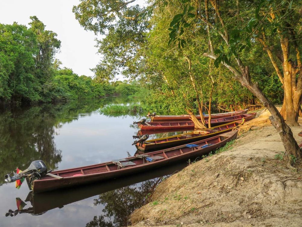 Guided Amazonia Tour in Bolivia (10Adventures)