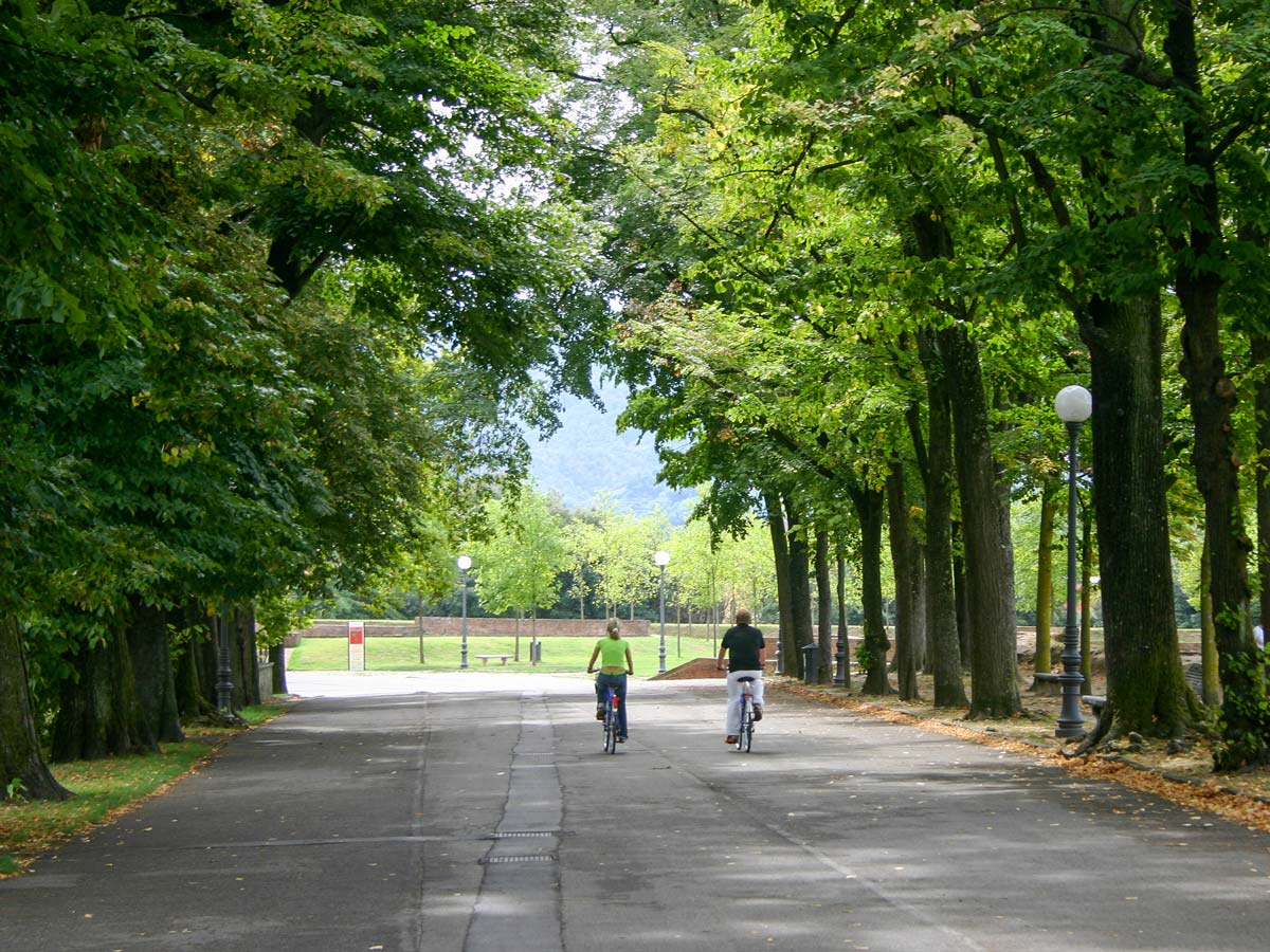 Biking in the street covered by the shade on Via Francigena