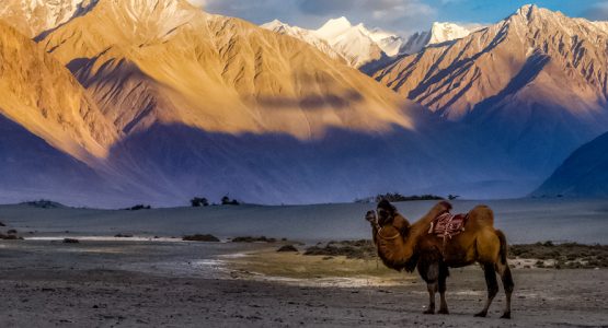 Nubra Valley Trekking Tour