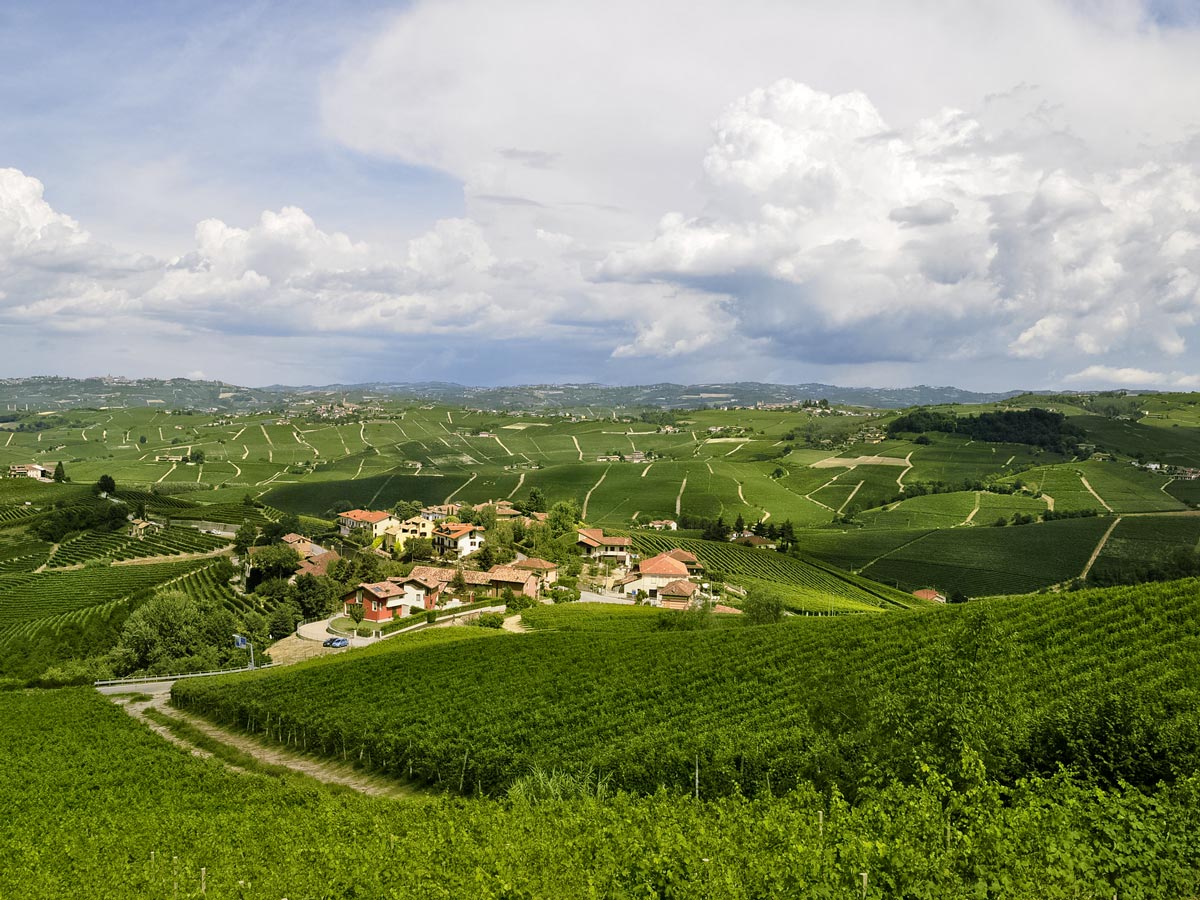 Walking by French vineyards along Langhe walk trekking tour