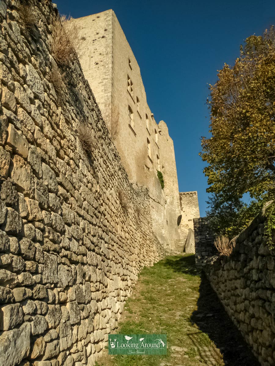 Walking alongside stone wall on Luberon tour trekking in France