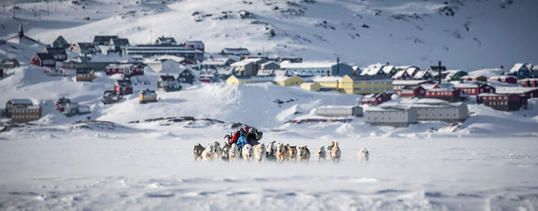 Dog Sledding in East Greenland Tour