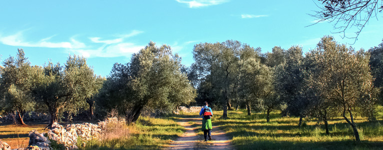 Puglia and Matera Deluxe Foodie Walking Tour