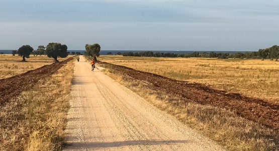 Tasting Puglia By Bike