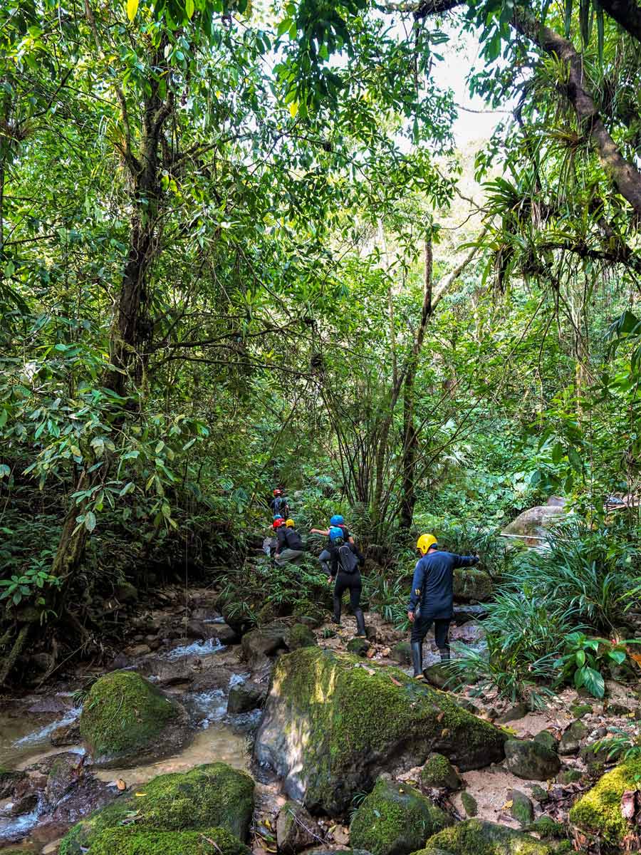 Group hiking trekking through the jungle adventure tour Peru Ecuador